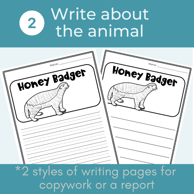 African Animal facts Read Write Color activity BUNDLE