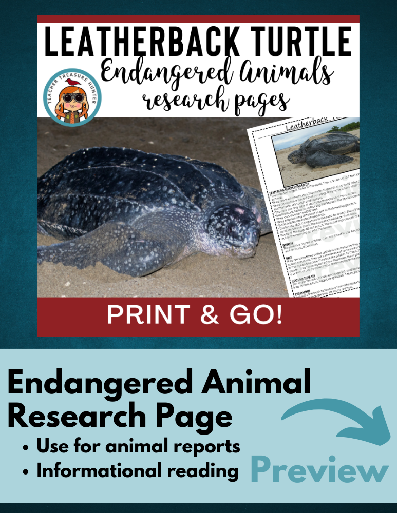 Leatherback turtle information research page for endangered animal report