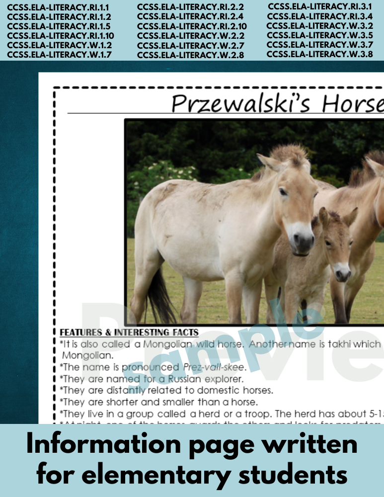 Przewalski's wild horse | Endangered Animal research page for animal report