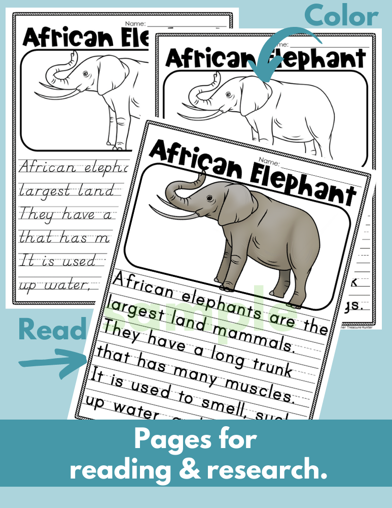 African Elephant Read Write Color activity for K, 1st, 2nd grade