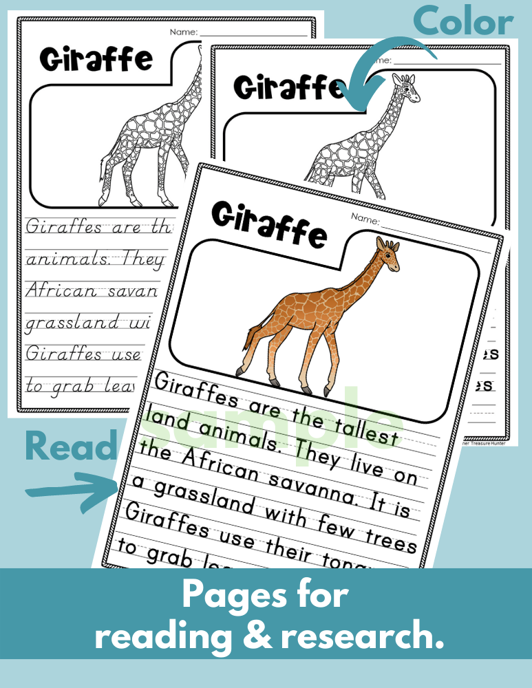 Giraffe African Savanna habitat Read Write Color activity for K, 1st, 2nd grade
