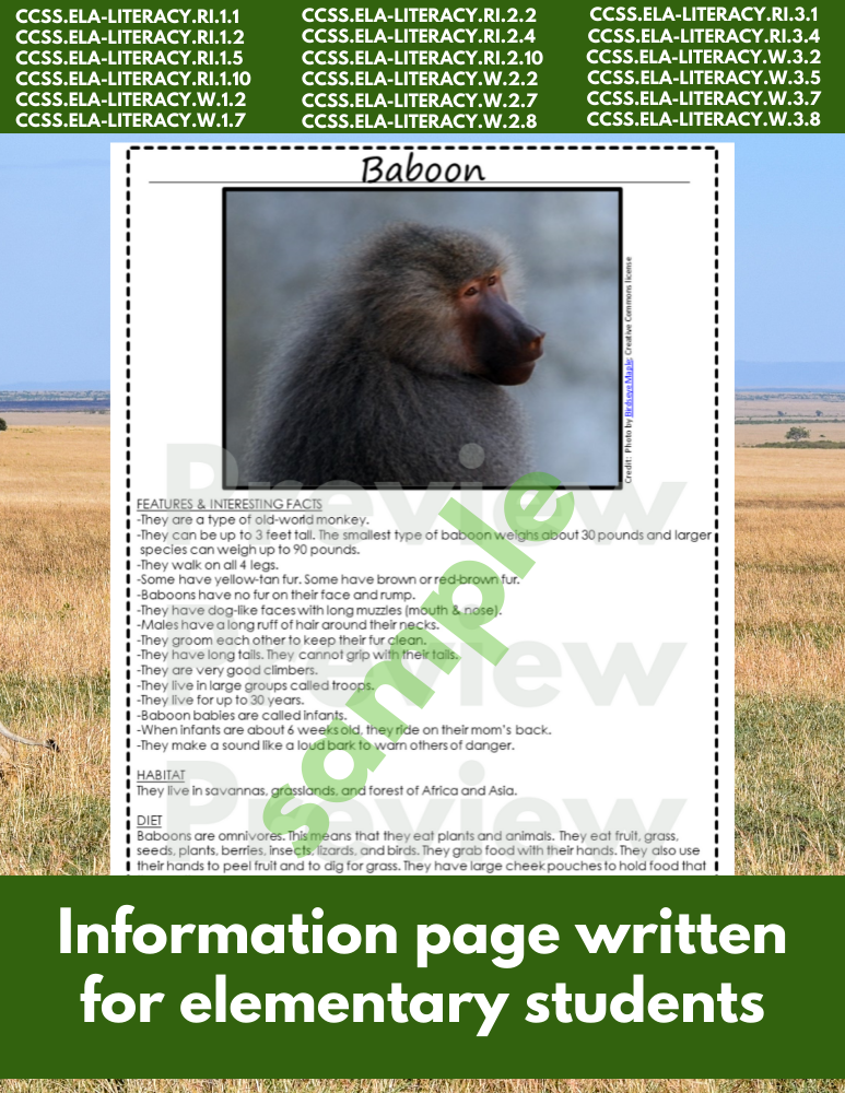 Baboon African Animal Research Information Pages for animal research paper