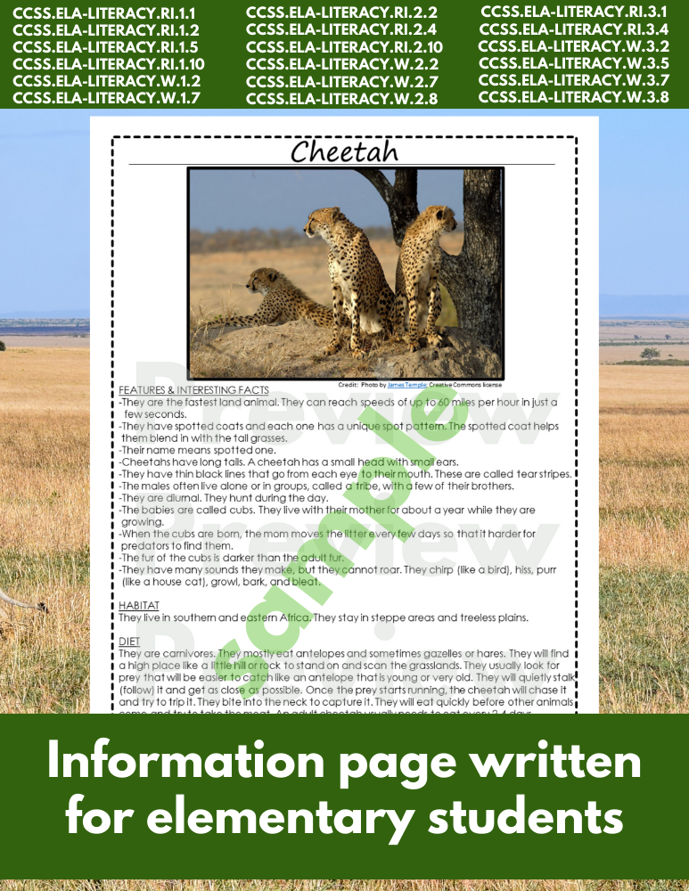 Cheetah African Animal Research Pages for animal research reports