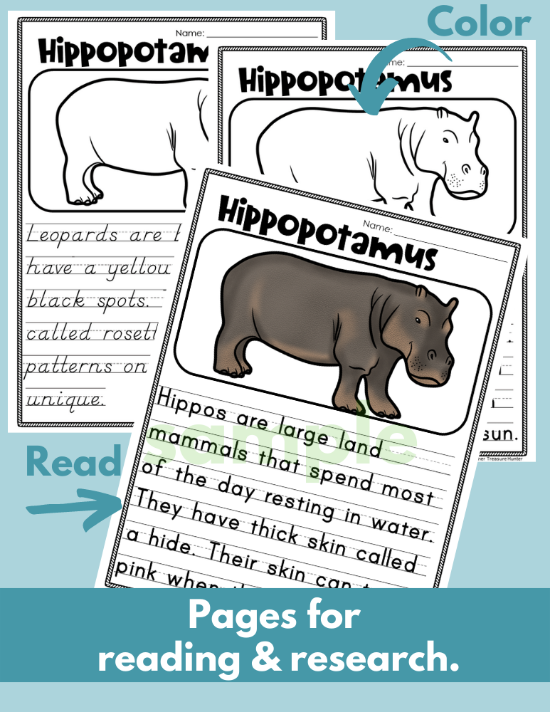 Hippo African Savanna habitat Hippopotamus Facts Read Write Color activity