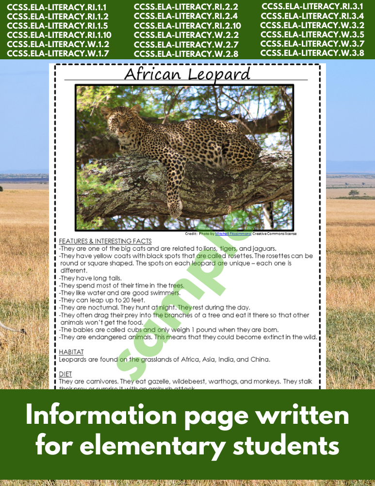 African leopard Animal Research Pages for animal research paper