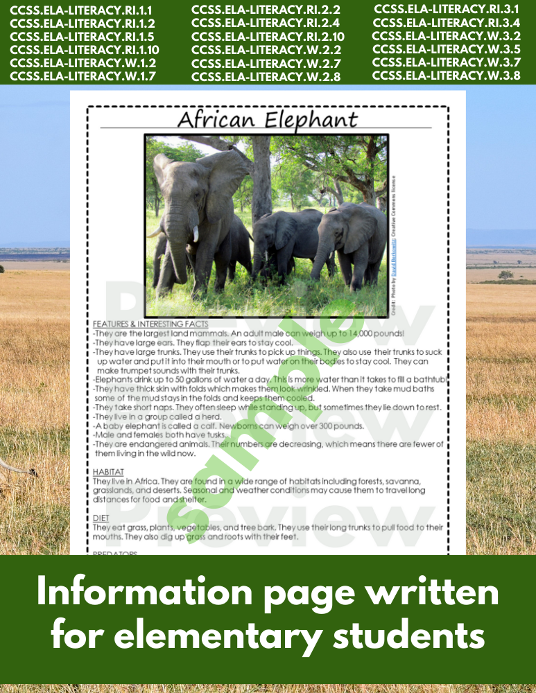 African elephant Animal Research Pages for animal research paper