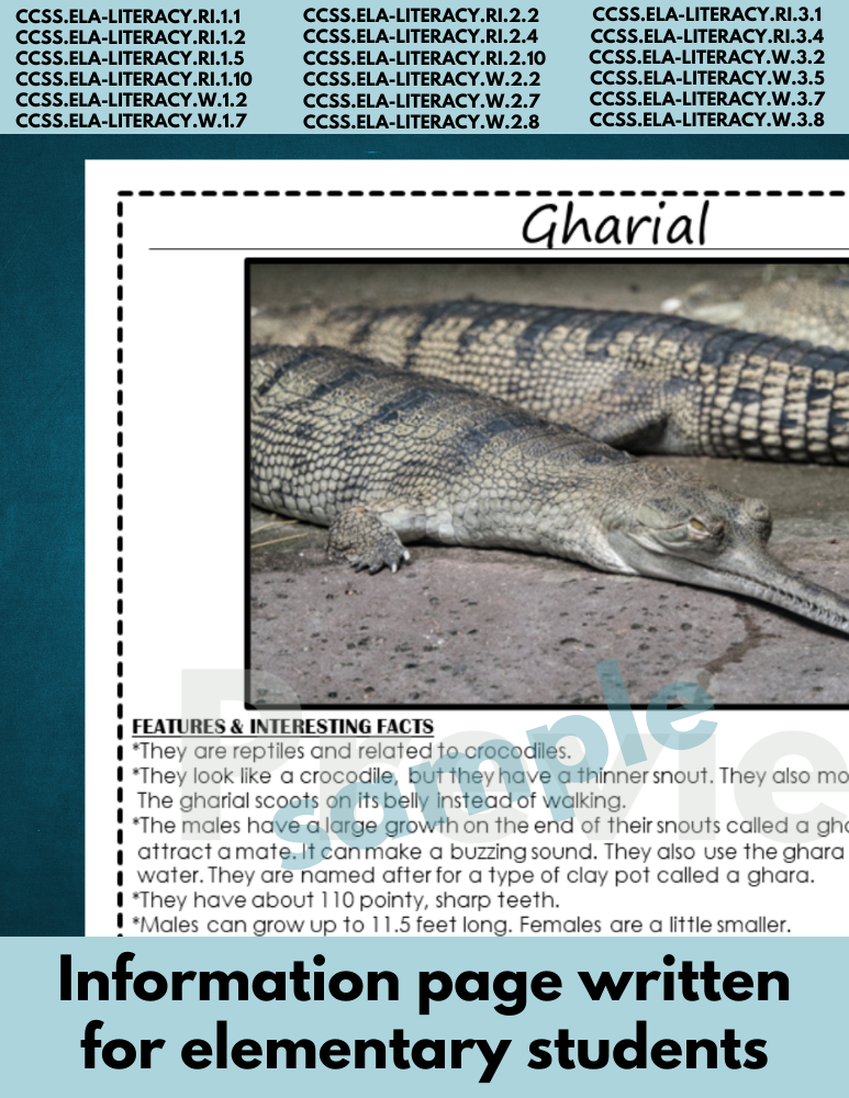 gharial | Endangered Animal research page for animal report | reptile