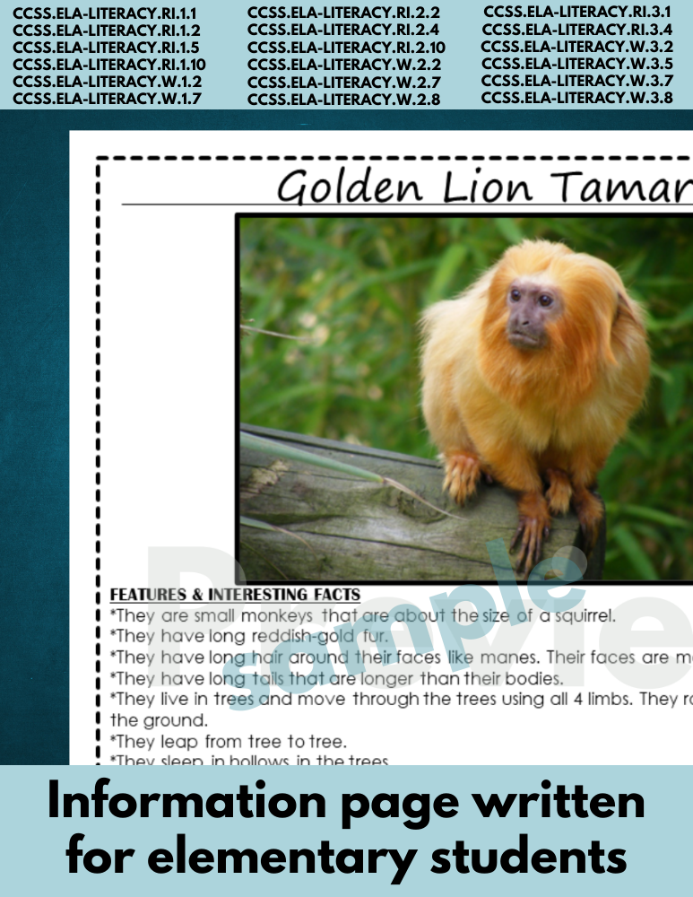 Golden Lion Tamarin | Endangered Animal research page for animal report