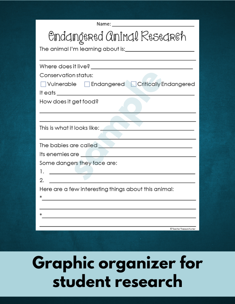 Leatherback turtle information research page for endangered animal report