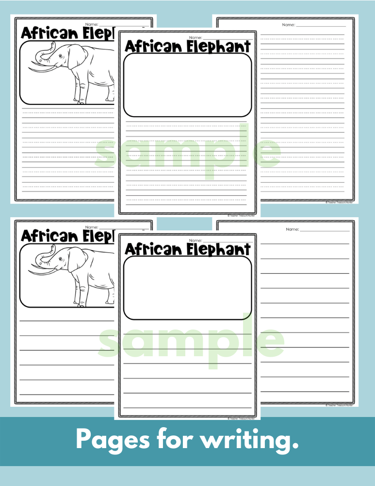 African Elephant Read Write Color activity for K, 1st, 2nd grade