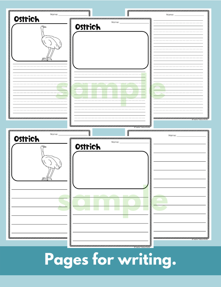 Ostrich Read Write Color African animal writing activity