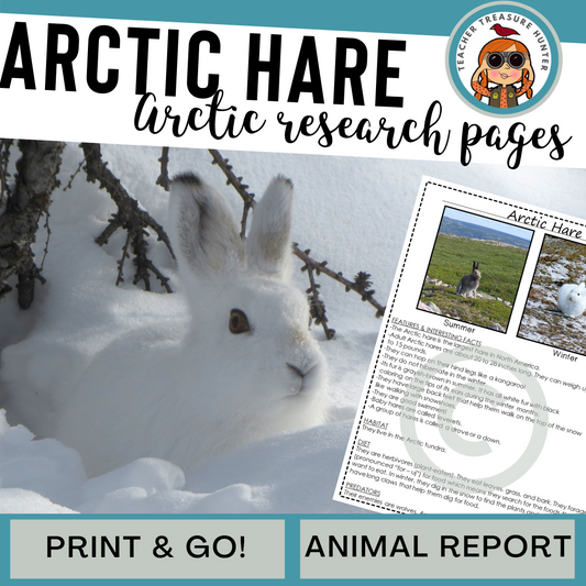 Arctic Hare Animal Research Pages for animal research paper
