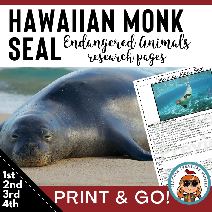 Hawaiian Monk Seal Endangered Animal information page for animal research report