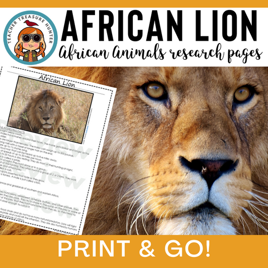 African lion Animal Research Pages for animal research paper