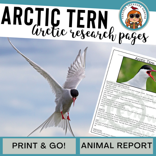 Arctic Tern Animal Research Page for research and writing animal reports