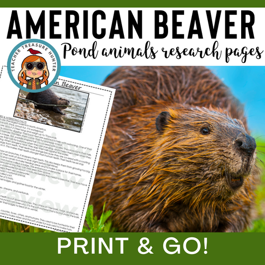 Beaver Animal Research Pages for pond study and life science lessons