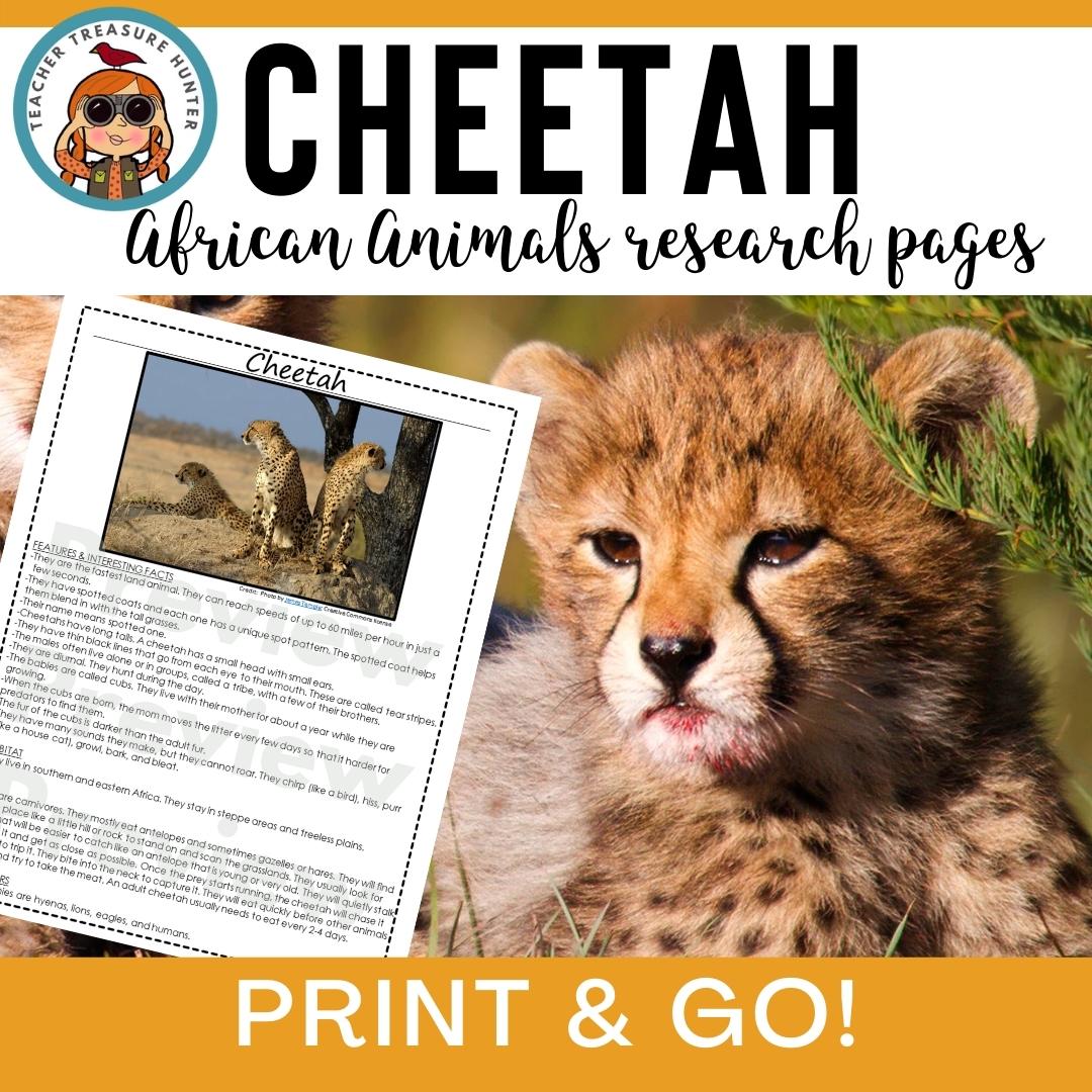 Cheetah African Animal Research Pages for animal research reports