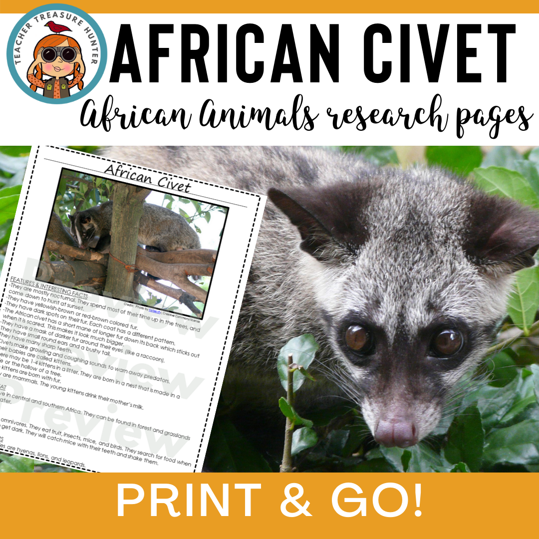 Civet African Animal Information Pages for animal research paper