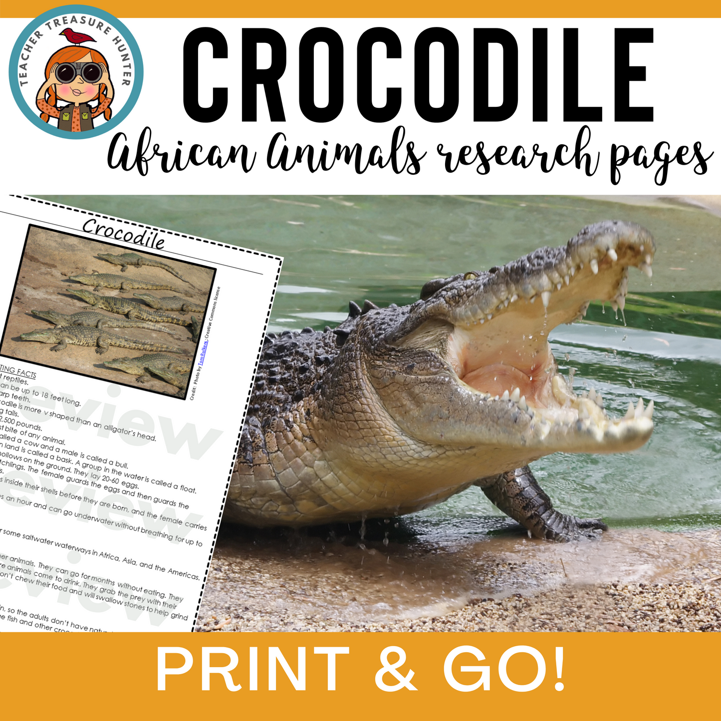 Crocodile | African Animal Information Pages for animal research paper