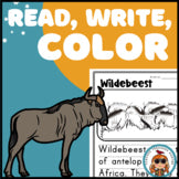 Wildebeest Read Write Color teaching resource