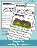 Wildebeest Read Write Color teaching resource