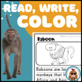 Baboon Read Write Color teaching resource