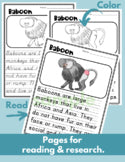 Baboon Read Write Color teaching resource