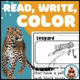 Leopard Read Write Color teaching resource