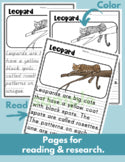 Leopard Read Write Color teaching resource