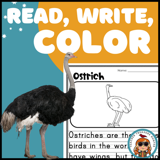 Ostrich Read Write Color African animal writing activity