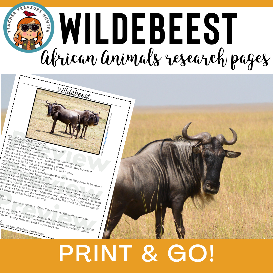 Wildebeest African Animals Report All About Wildebeests aka gnu animal research